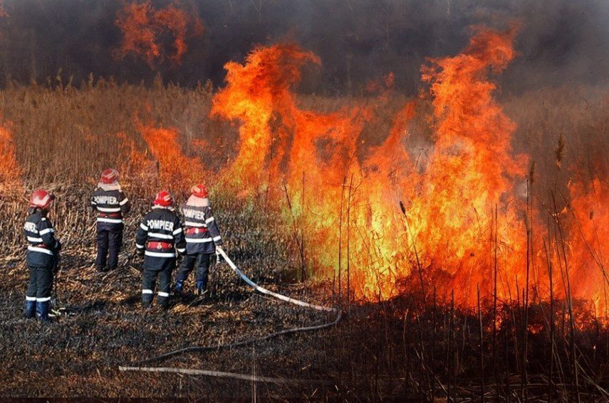 Facem apel către populație! Opriti acțiunile de igienizare a terenurilor prin ardere!