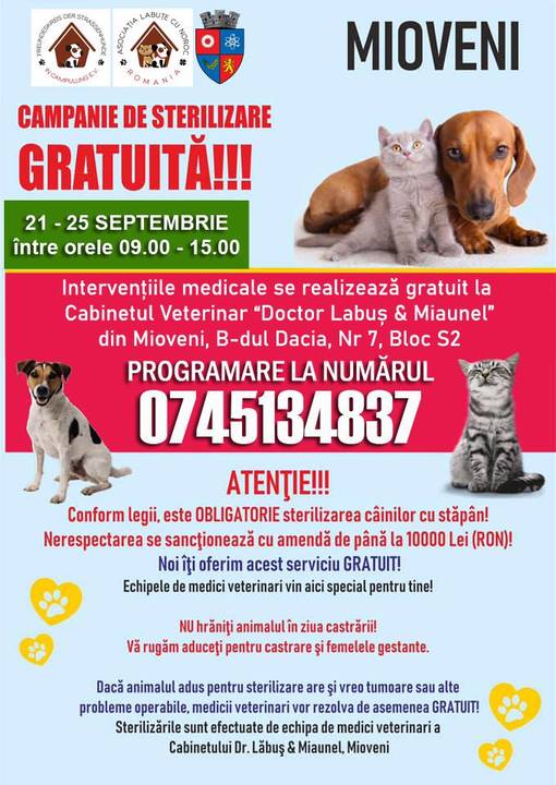  Campanie de Sterilizare a câinilor și pisicilor